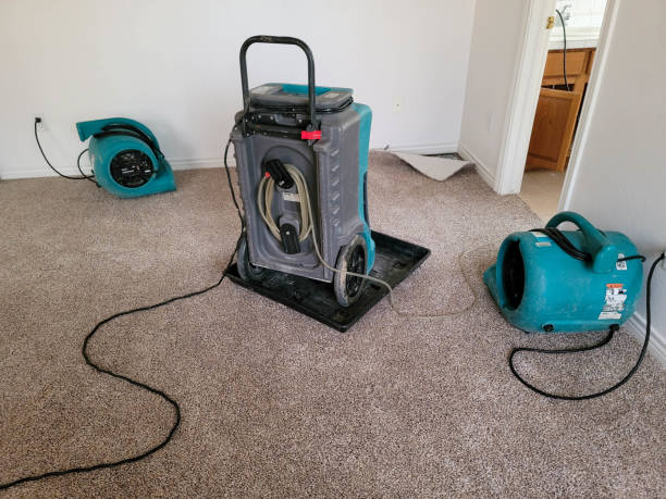 Best Flooded house restoration  in Dunnellon, FL