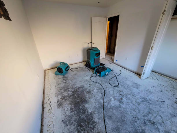 Best Water damage restoration specialists  in Dunnellon, FL