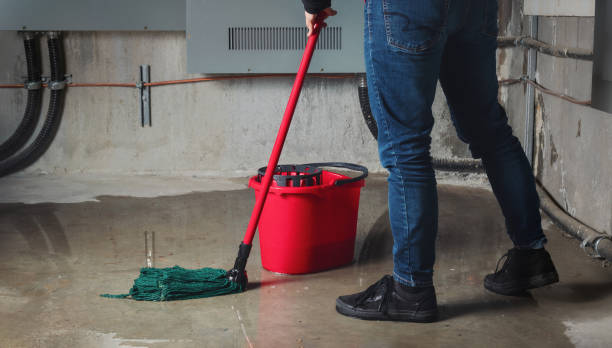 Best Emergency water damage restoration  in Dunnellon, FL