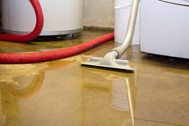 Best Water damage restoration cost  in Dunnellon, FL
