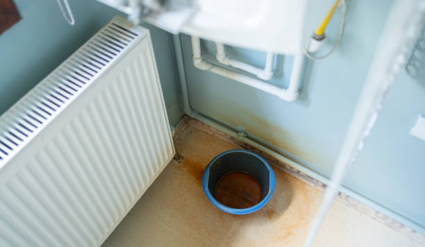 Best Water damage restoration company  in Dunnellon, FL