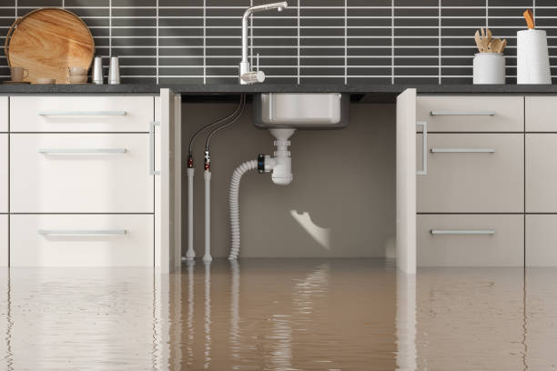 Best Flood damage cleanup  in Dunnellon, FL