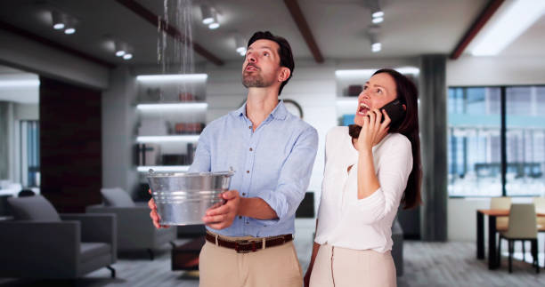 Best Fire Damage Restoration  in Dunnellon, FL