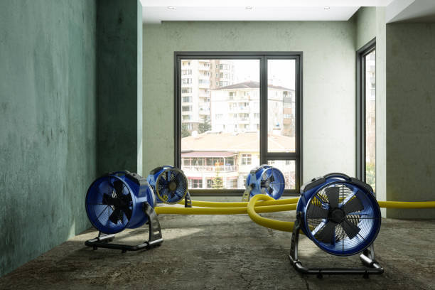 Best Water damage restoration process  in Dunnellon, FL