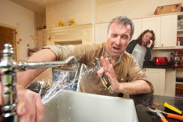 Best Local water damage restoration  in Dunnellon, FL